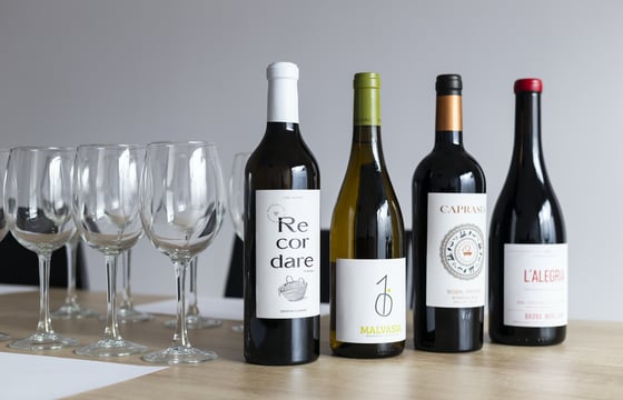 cata de vinos locales