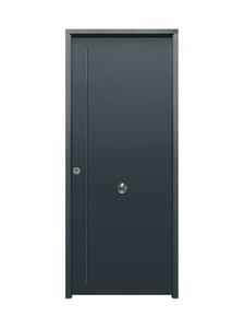 puerta entrada vivienda saga100 1120 3p 1c 7016 dchas + cortavientos