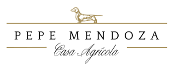 pepe mendoza