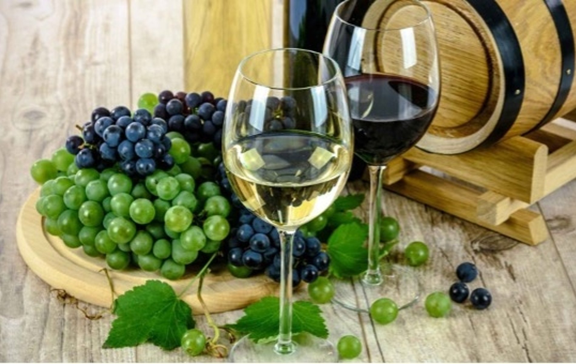 aprende más acerca del mundo del vino