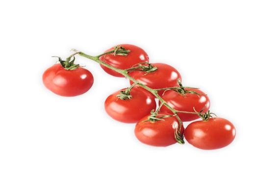 tomate cherry