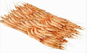 gamba blanca 150-180 1kg 