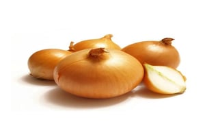 cebolla fresca (verduras)