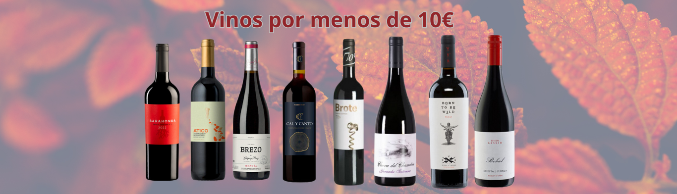 Vinos Tintos por menos de 10€
