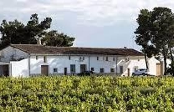 cata con bodegas casa gran