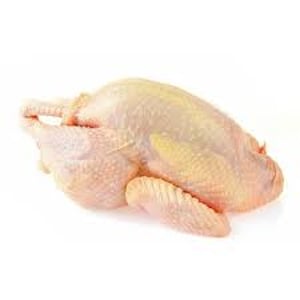 gallina semi alberave 8 u