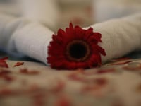 Hotel thumbnail 9