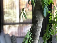 Miniatura dell'hotel 7