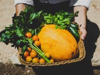 Miniatura dell'hotel 5