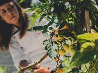 Miniatura dell'hotel 2