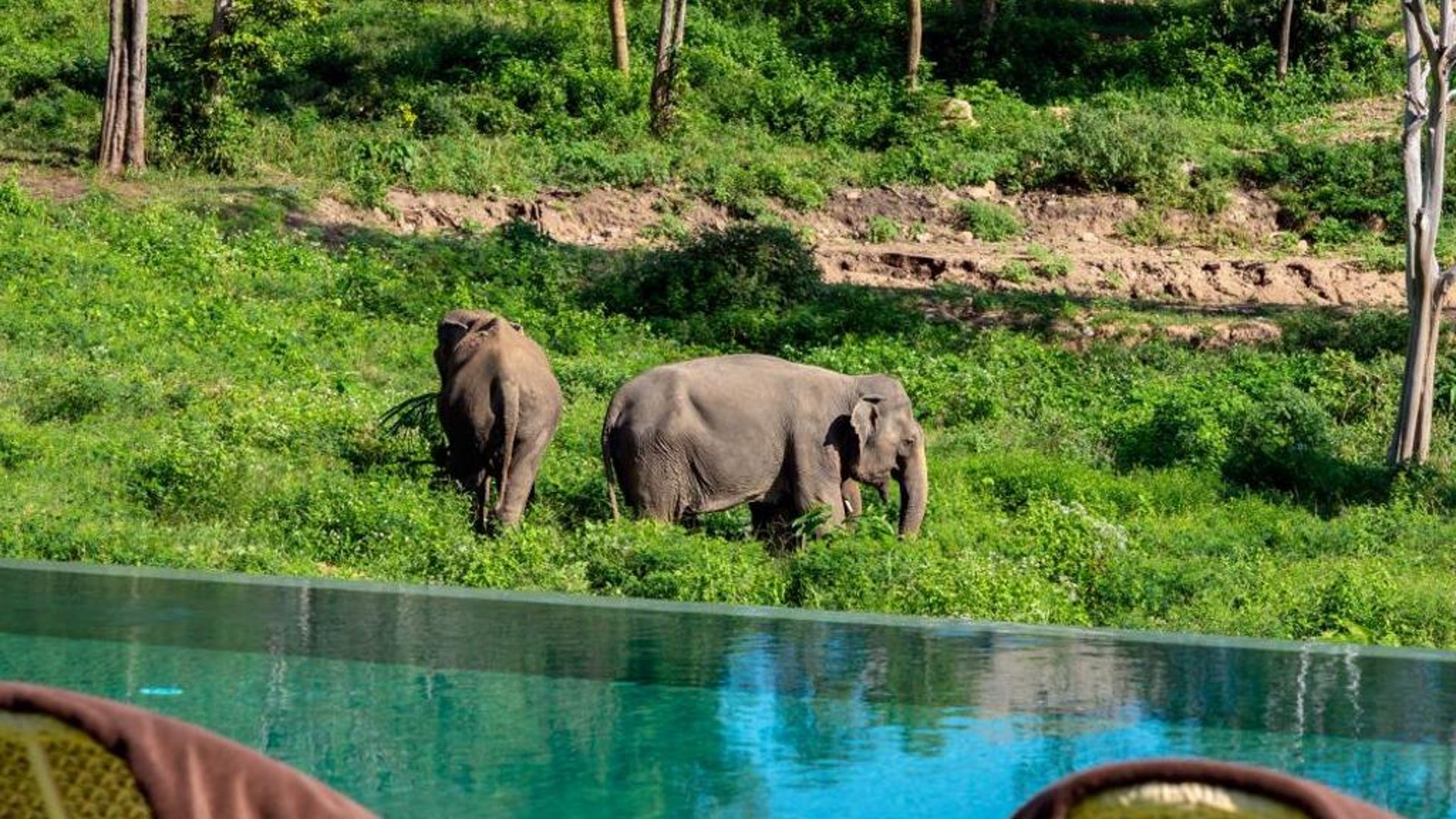 Wild Cottages Elephant Sanctuary Resort in Amphoe Ko Samui, Thailand