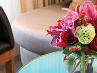 Hotel thumbnail 20