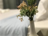 Hotel thumbnail 20