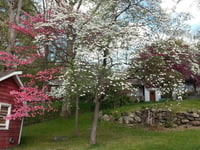 Hotel thumbnail 11