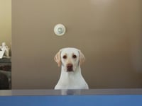 Hotel thumbnail 9
