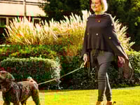 ホテルサムネイル8