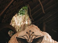 Miniatura dell'hotel 14