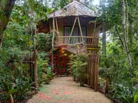 Miniatura dell'hotel 3