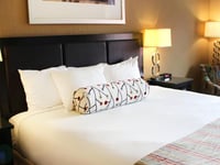 Vignette de l'hôtel 5