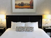 Vignette de l'hôtel 9