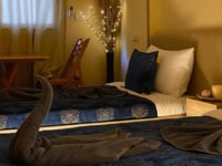 Hotel thumbnail 14