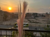 Hotel thumbnail 18