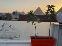 Hotel thumbnail 4