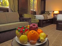 Hotel thumbnail 6