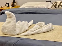 Hotel thumbnail 19