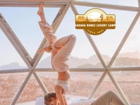Hotel thumbnail 5