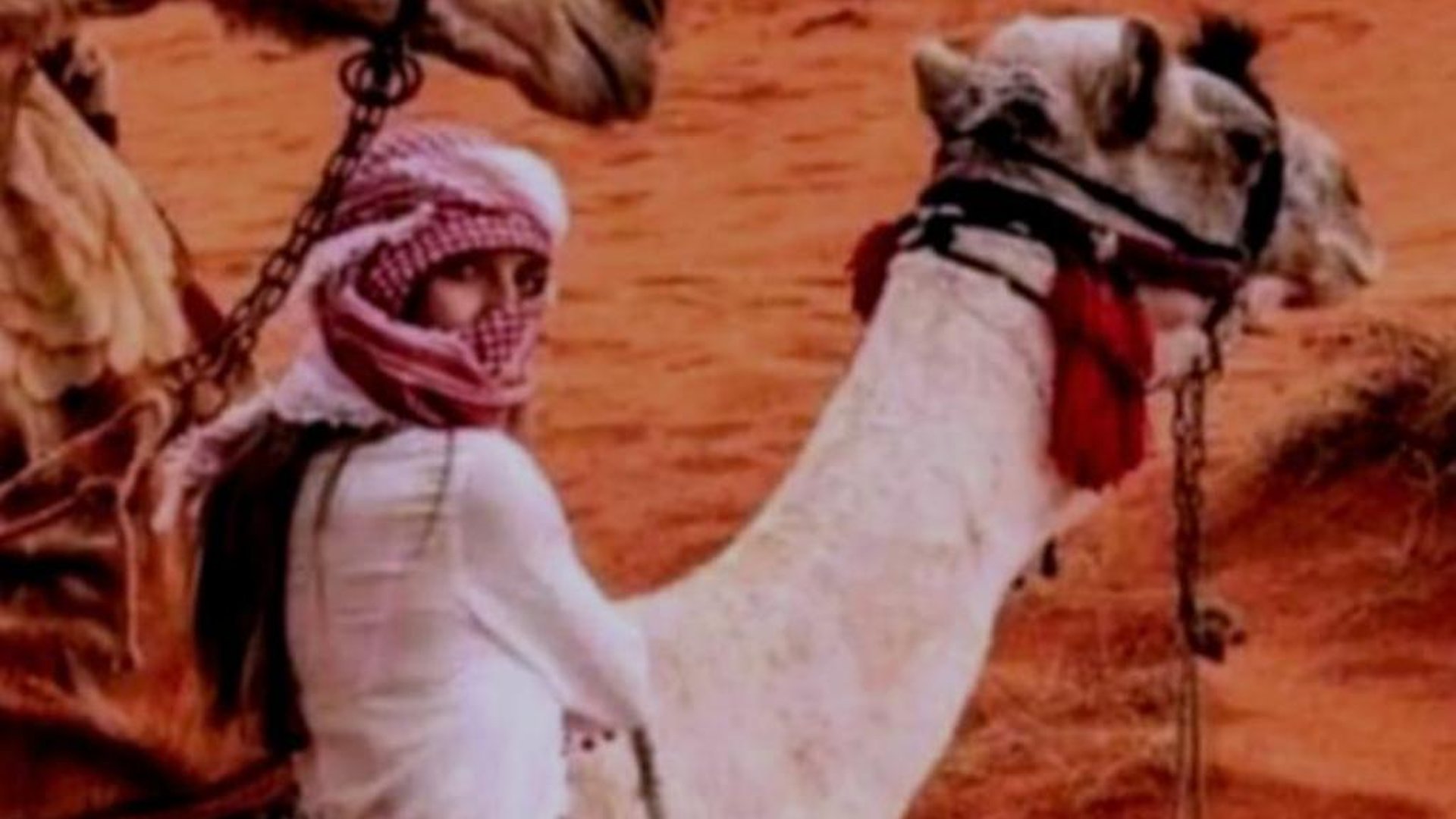 Wadi Rum Sand moon Camp &Tour in in Wadi Rum, Jordan