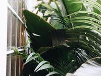 Hotel thumbnail 8