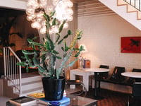 Hotel thumbnail 1