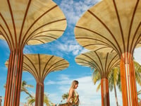Hotel thumbnail 8