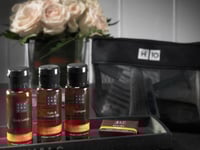 Miniatura dell'hotel 11