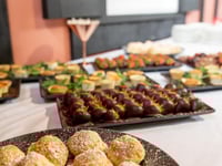 معاينة الفندق 13