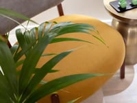 Hotel thumbnail 3