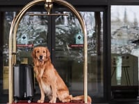 Hotel thumbnail 13