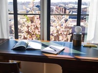 معاينة الفندق 13