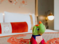 Miniatura dell'hotel 8