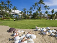 Hotel thumbnail 11