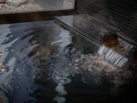 Hotel thumbnail 15