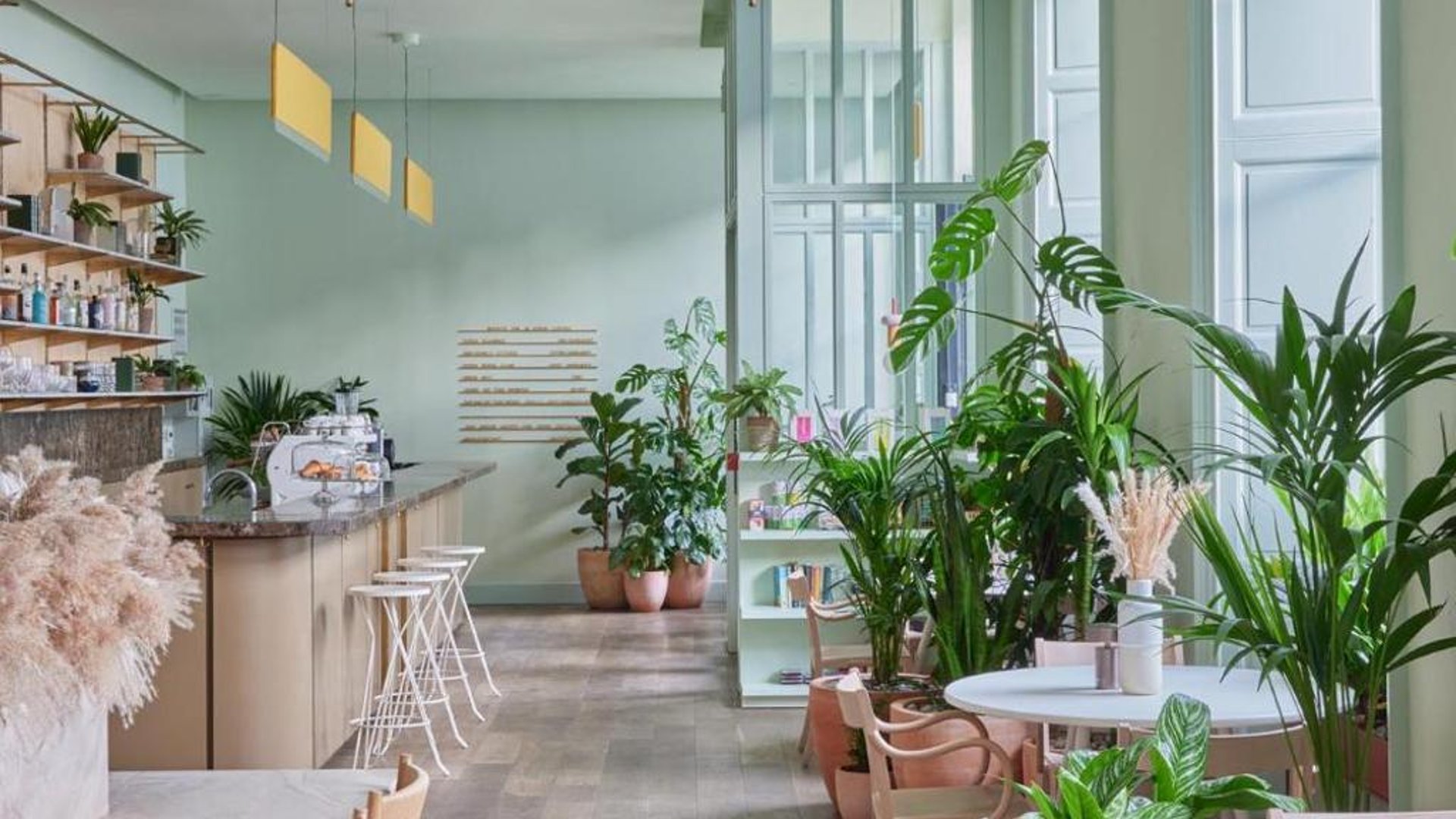 Eden Locke in in Edinburgh, United Kingdom