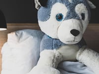 Vignette de l'hôtel 11