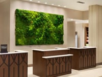Hotel thumbnail 4