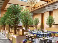 Vignette de l'hôtel 6