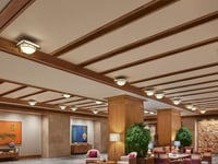 Vignette de l'hôtel 16