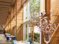 Vignette de l'hôtel 17