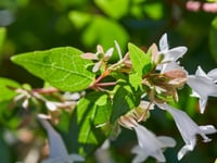 معاينة الفندق 20