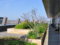 รูปภาพย่อโรงแรม 12